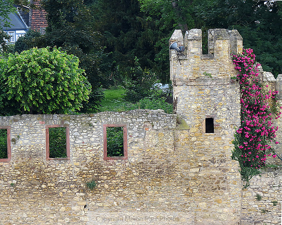 Rhine Castle Wall