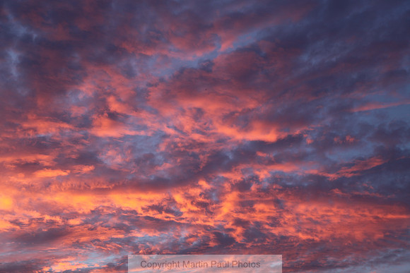 Pink Sunset Sky