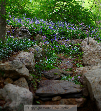A Flowery Staircase
